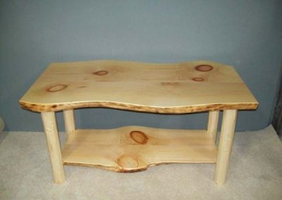 Log Table 1
